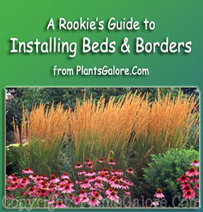 00-Book-Cover-Installing-Beds-Borders-2